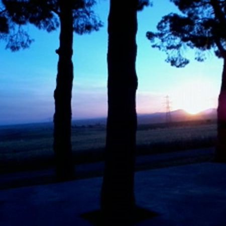 Agriturismo Toscanella Montebello Dış mekan fotoğraf