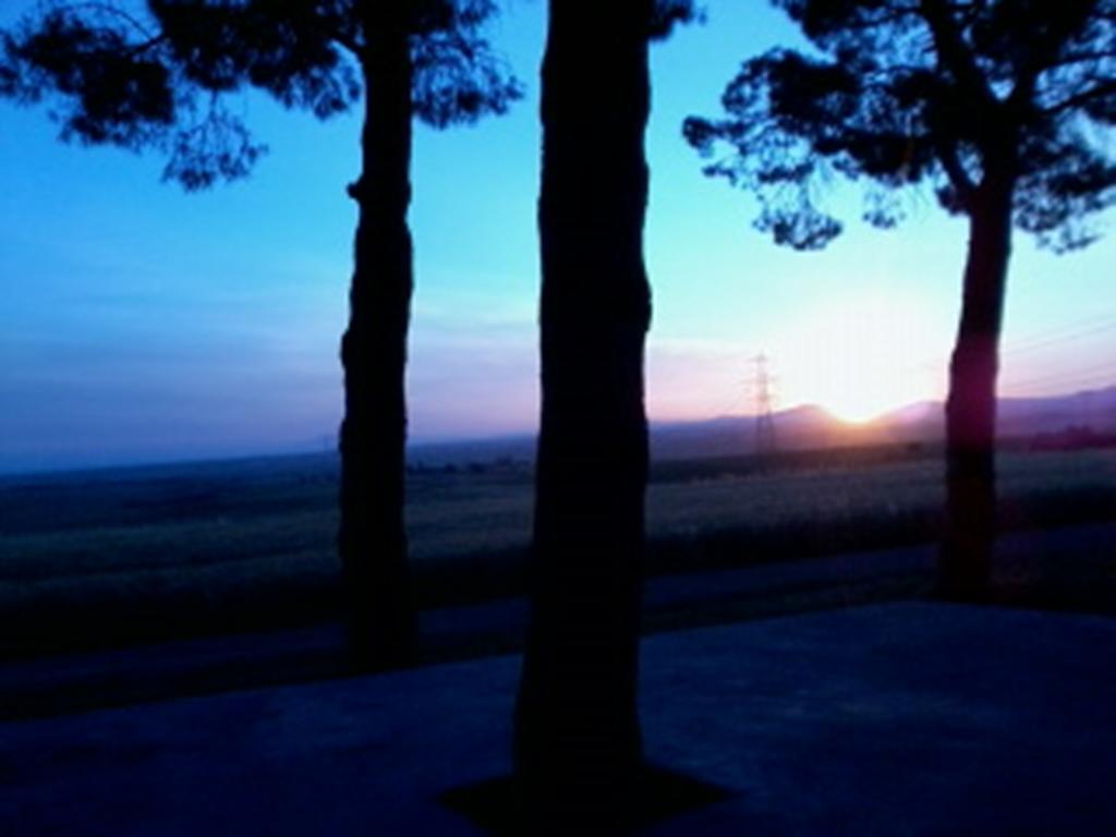 Agriturismo Toscanella Montebello Dış mekan fotoğraf